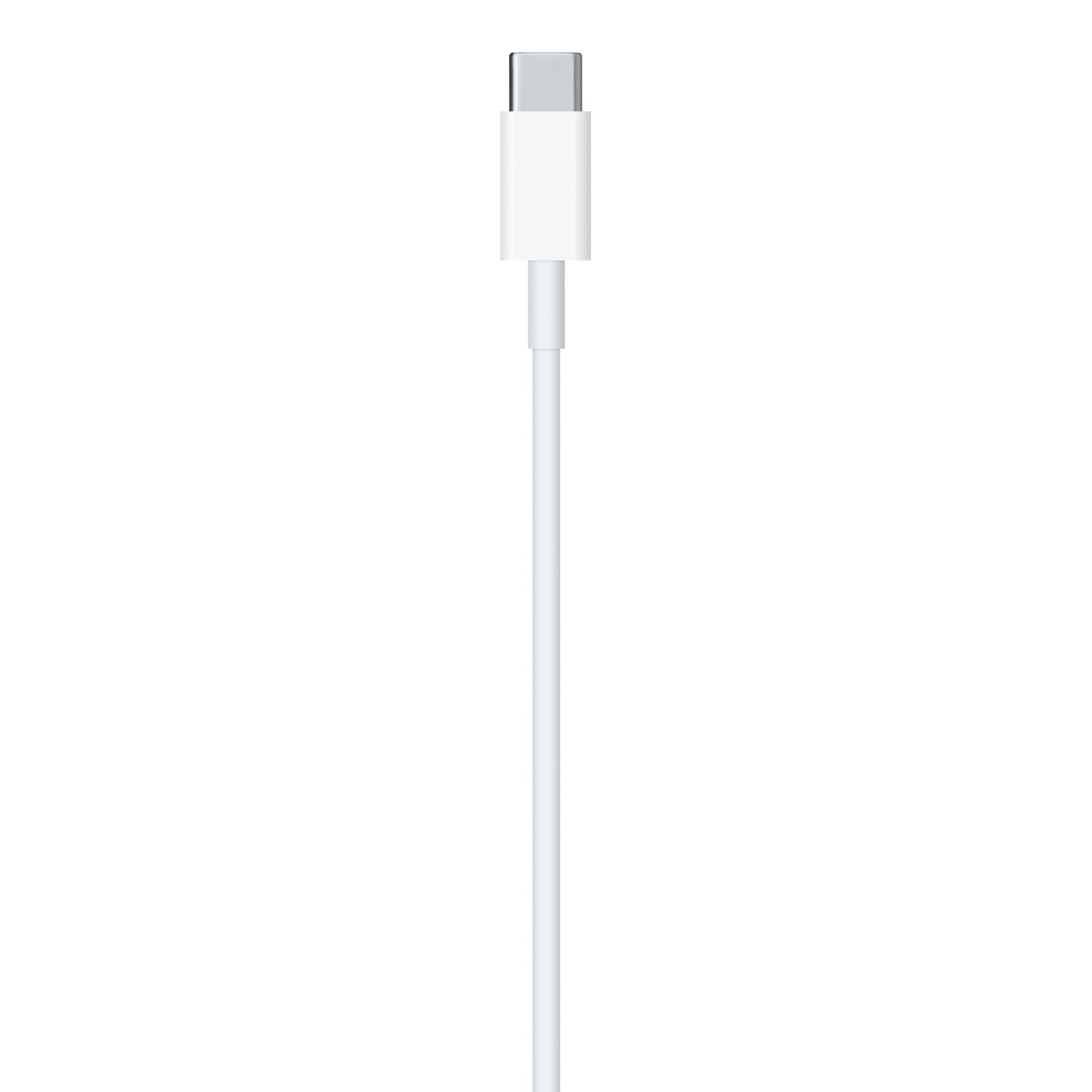 USB-C to Lightning Cable (1m)