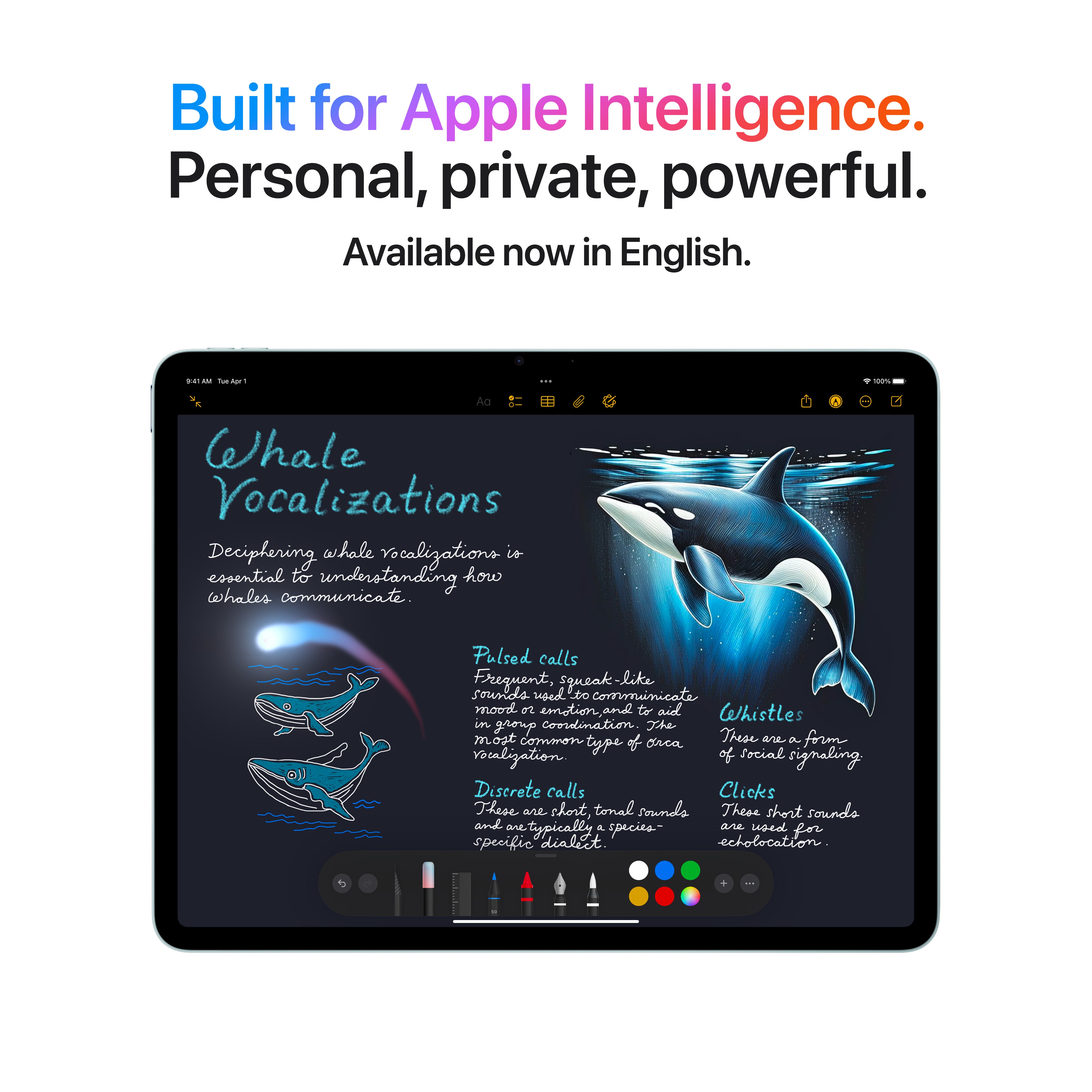 iPad Air 13" - M3 (2025)