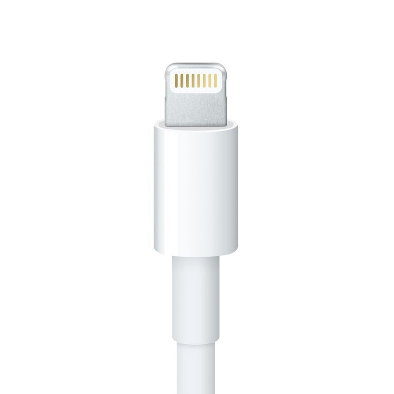 Lightning to 30-pin Adapter (0.2 m)