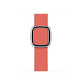 38mm Modern Buckle