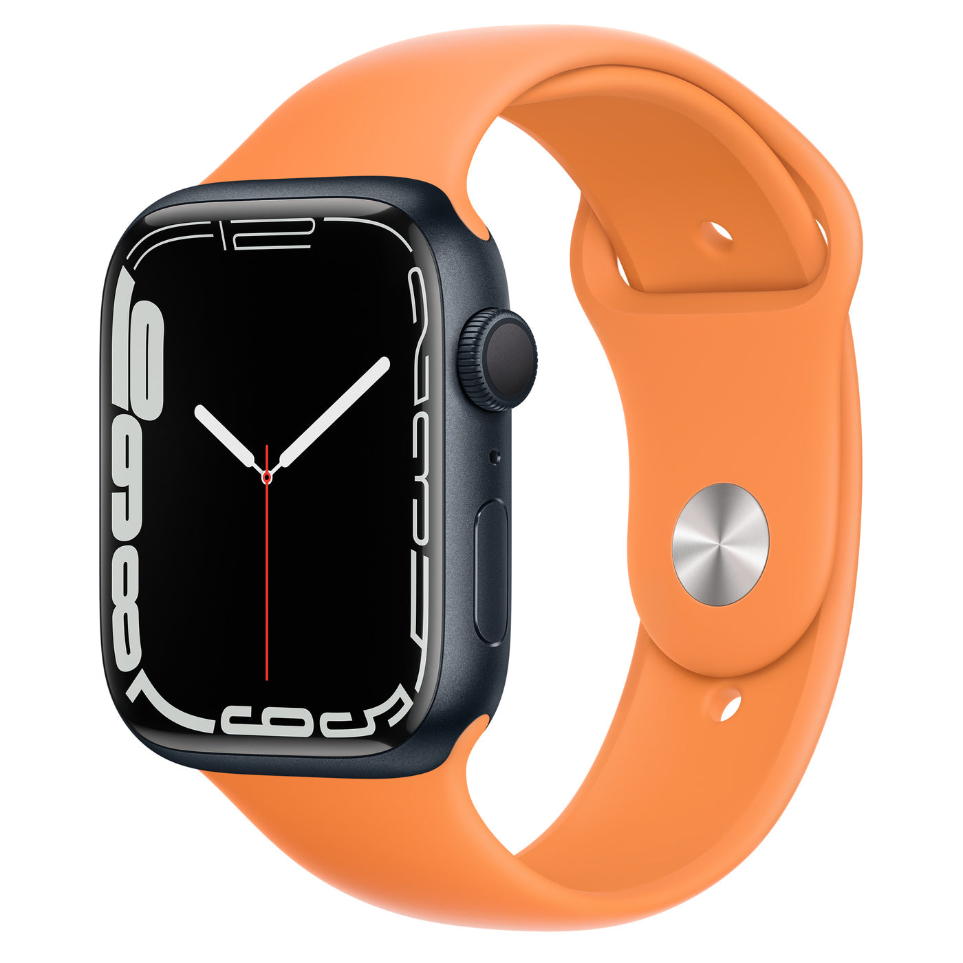 Sport Band - Regular