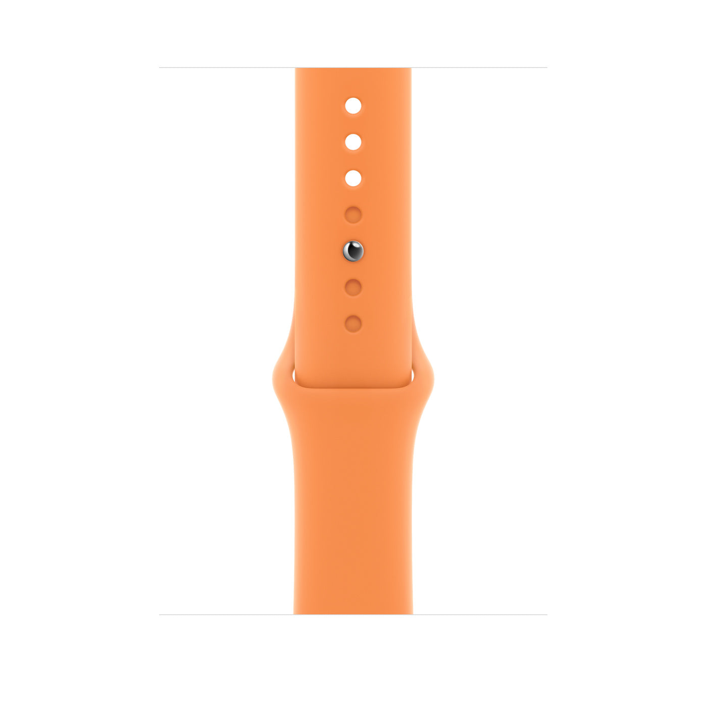 Sport Band - Regular