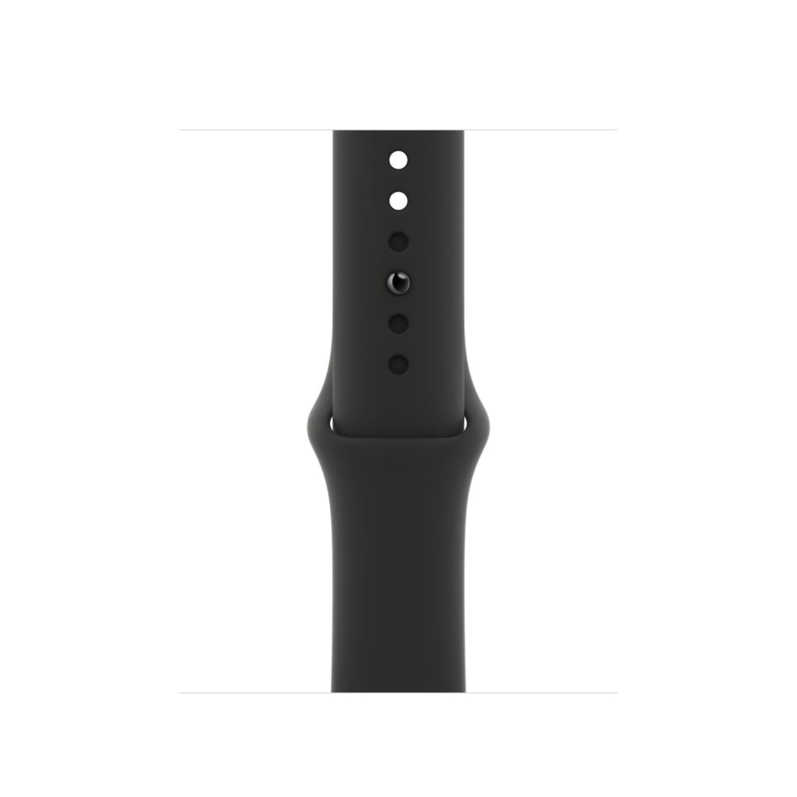 44mm Sport Band - Regular