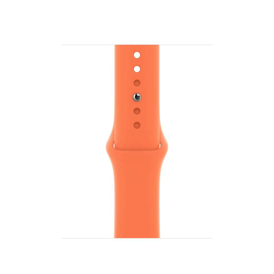 40mm Sport Band - Regular