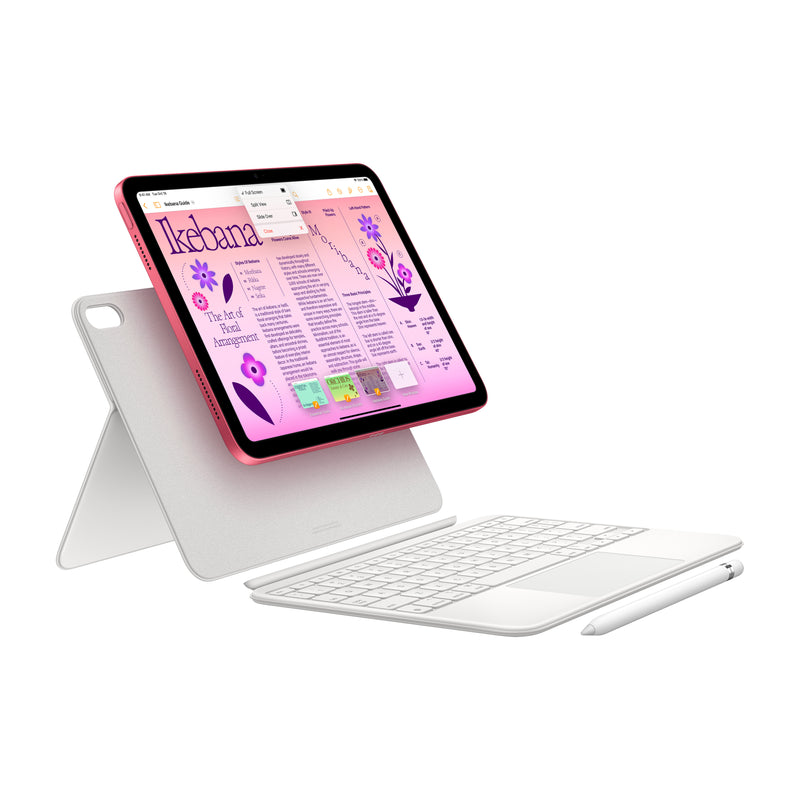 10.9 iPad (10th Generation)
