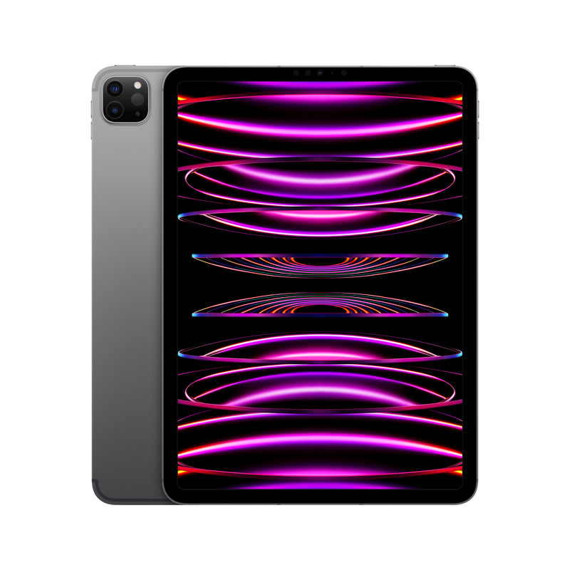 iPad Pro 11-inch M2 (4th Gen)