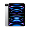 iPad Pro 11-inch M2 (4th Gen)