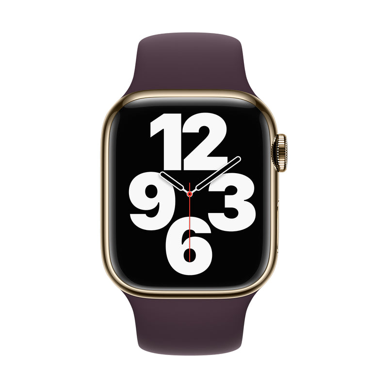 Apple Watch Series 7 GPS + Cellular Stainless Steel Case with Sport Band